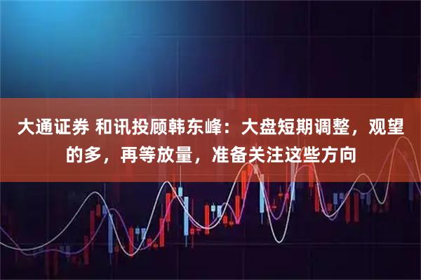 大通证券 和讯投顾韩东峰：大盘短期调整，观望的多，再等放量，准备关注这些方向