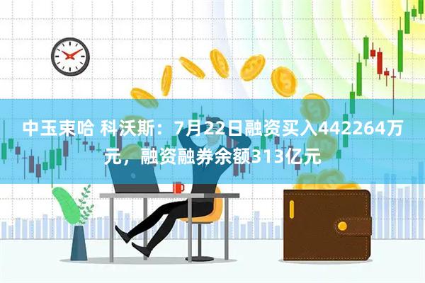 中玉束哈 科沃斯：7月22日融资买入442264万元，融资融券余额313亿元