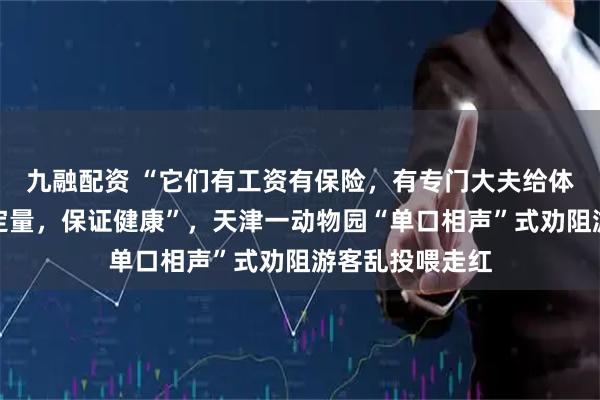 九融配资 “它们有工资有保险，有专门大夫给体检，吃饭定时定量，保证健康”，天津一动物园“单口相声”式劝阻游客乱投喂走红