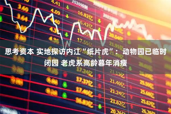 思考资本 实地探访内江“纸片虎”：动物园已临时闭园 老虎系高龄暮年消瘦