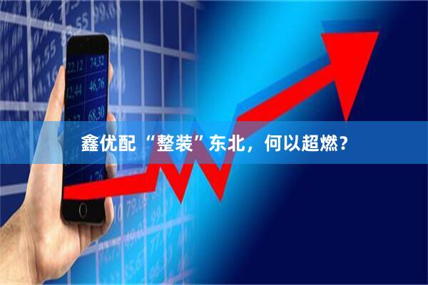鑫优配 “整装”东北，何以超燃？