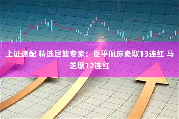 上证速配 精选足篮专家：臣平侃球豪取13连红 马芝壤12连红